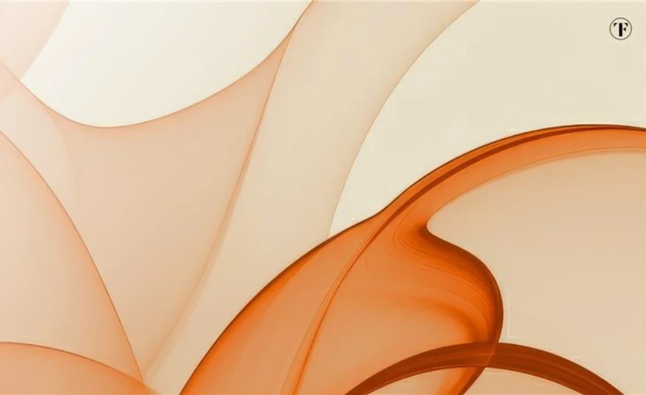 TF Bank - Who is TF Bank Series